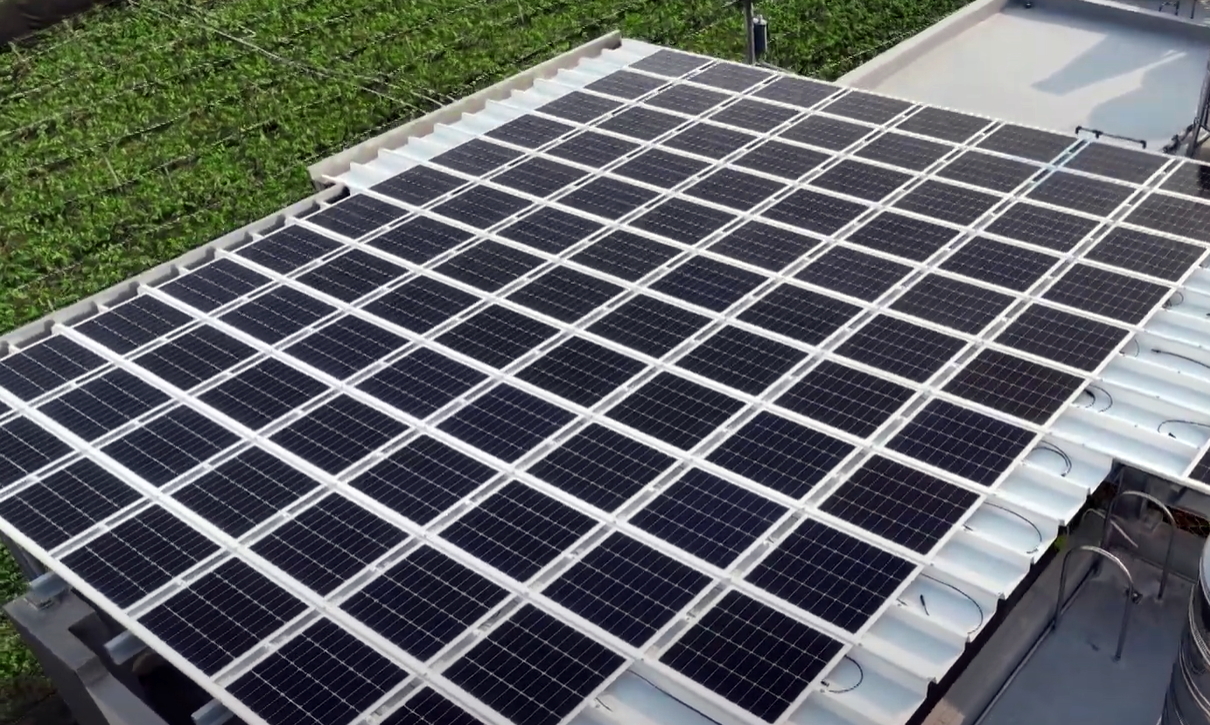 jinnian金年会SunSteel光电浪板升级双玻结构，以提升机械负载强度及气候耐候度，可广泛运用于多元场域